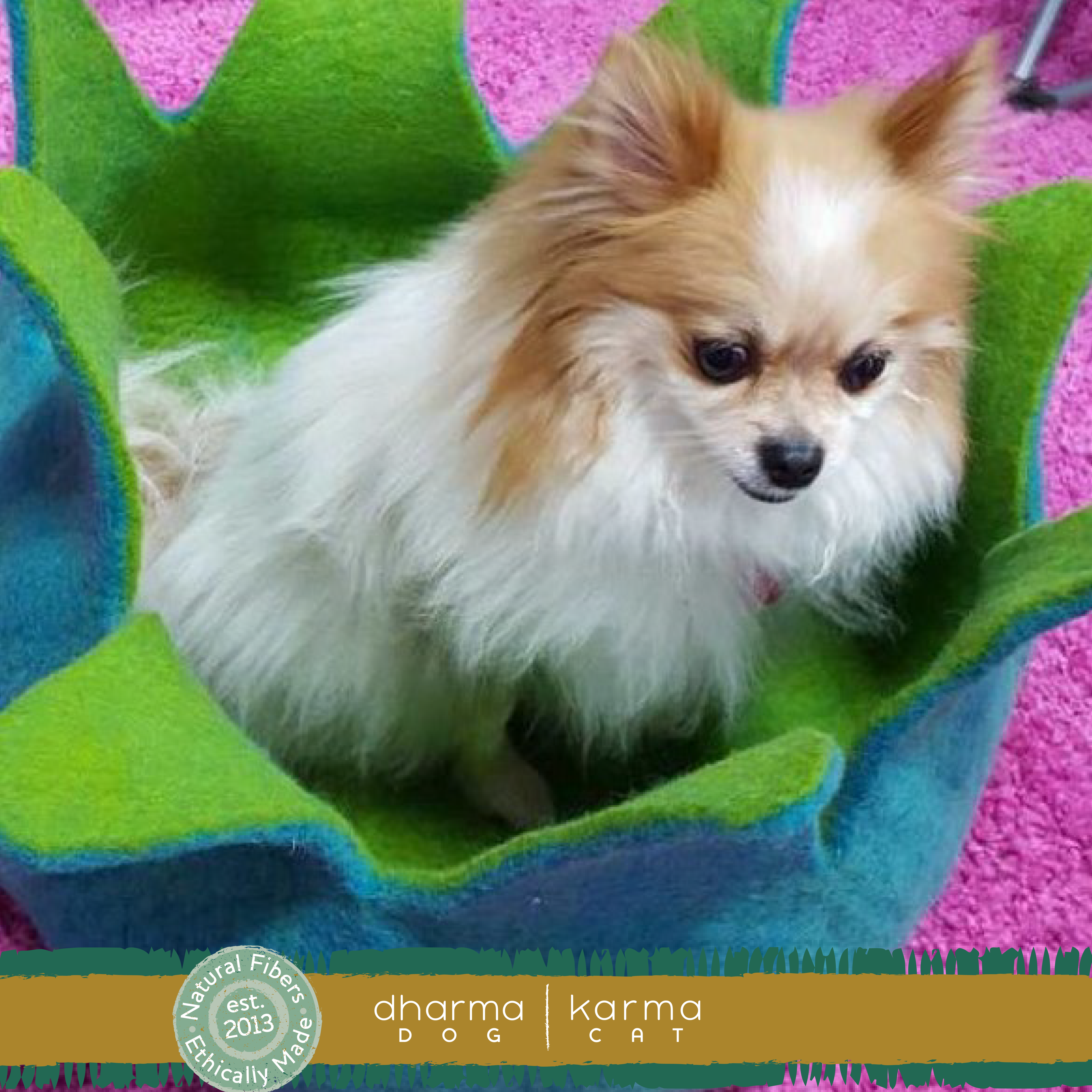 Dharma Dog Karma Cat - Aqua/ Green Petal Wool Pet Basket: 14"
